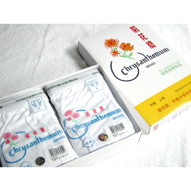 菊花圖 手绘卡通九月初九重阳节菊花png图片免费下载-素材hohlhlj-88ICON